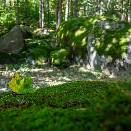 Hranicna S Privatnim Wellness Aparthotel